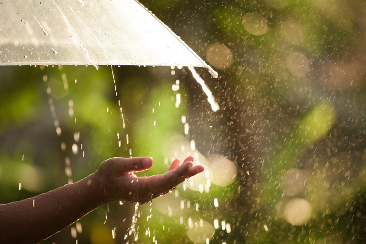 Woman hand with umbrella in the rain